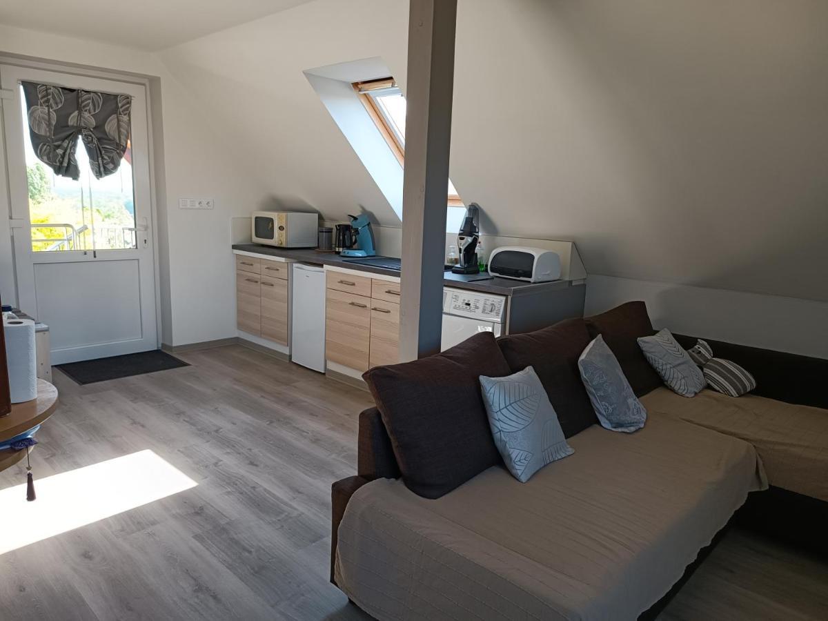 Au Fil Du Bonheur Apartment Surbourg