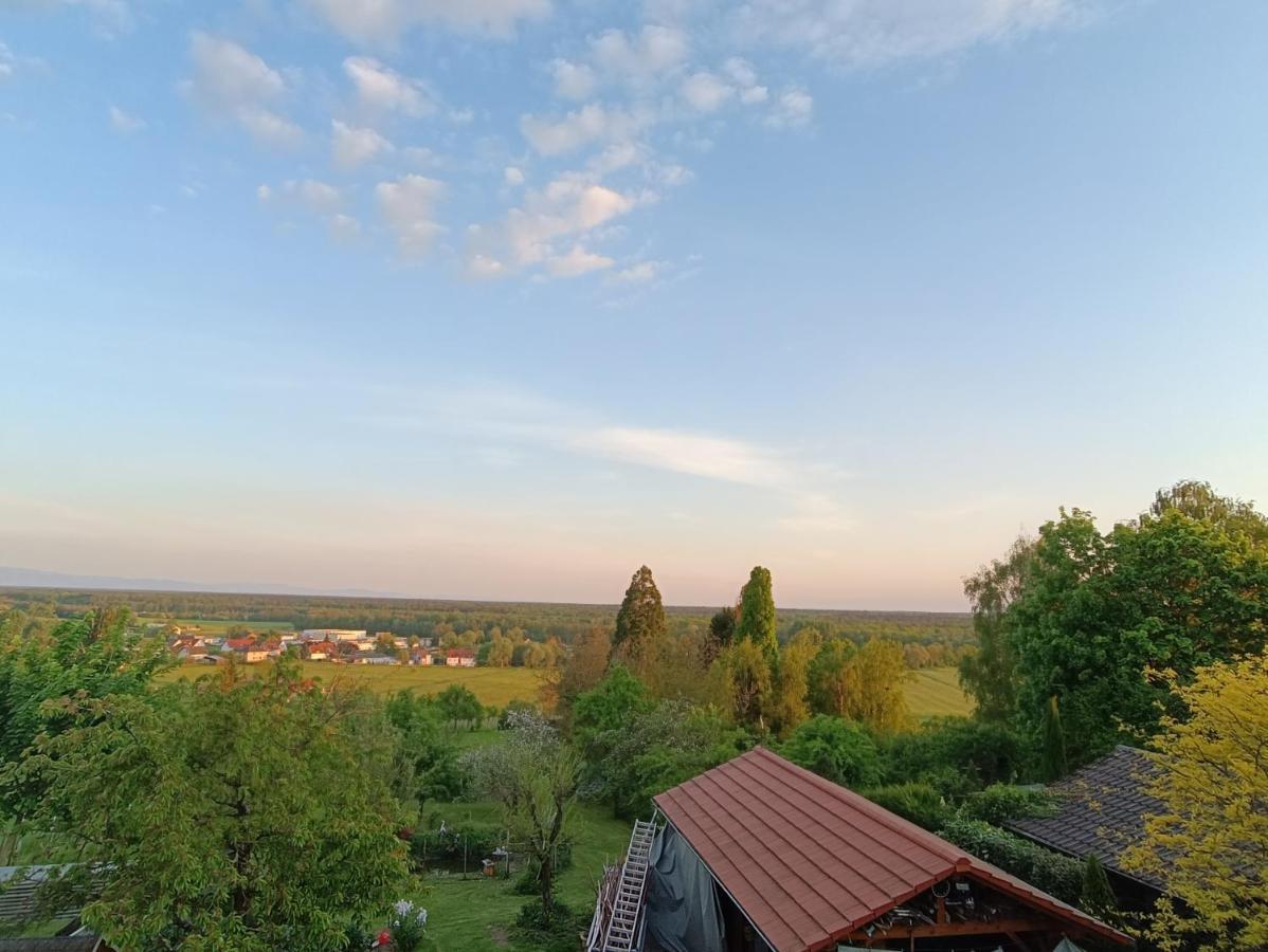 Au Fil Du Bonheur Apartment Surbourg